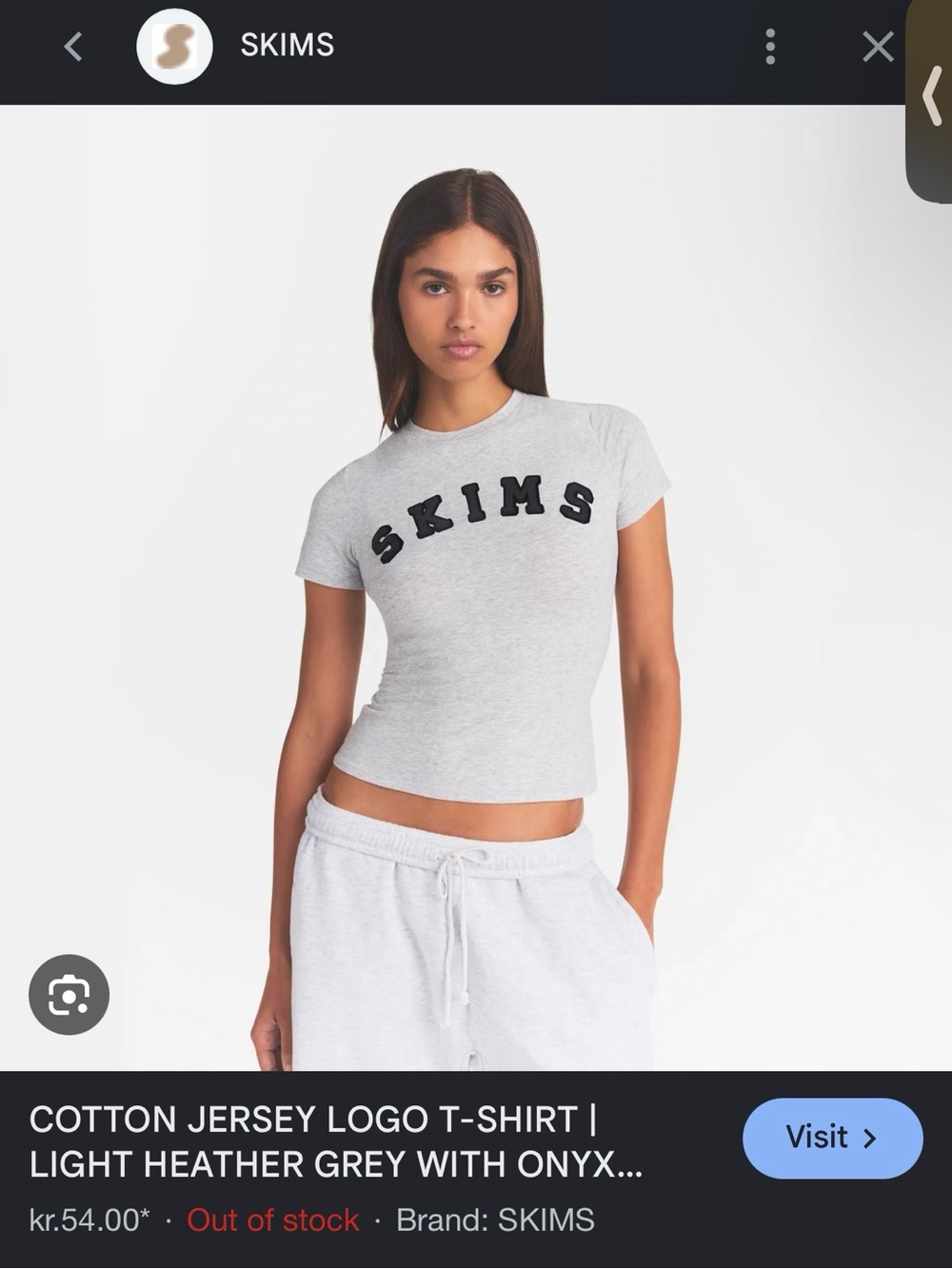 ISO- SKIMS Light Heather Gray Short Sleeve Logo Tee with Onyx Script